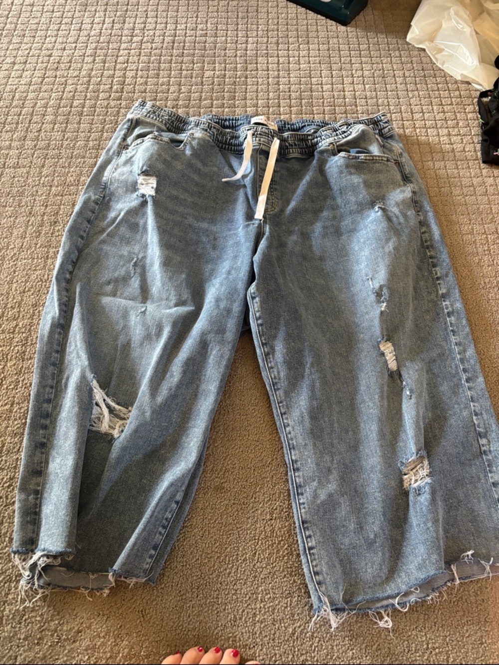 Lane Bryant Distressed Light Blue Cropped Jeans